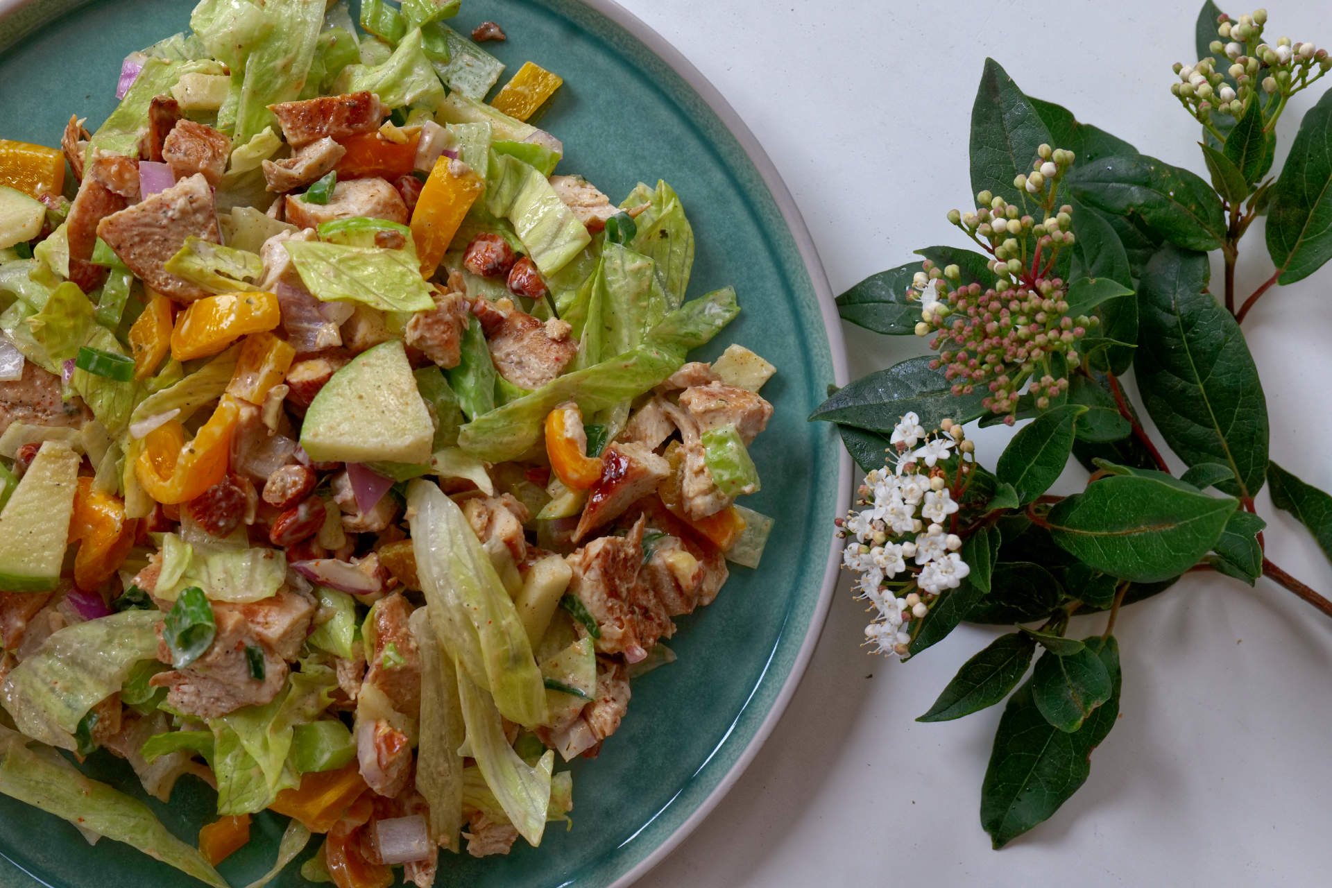 Chicken and Vege Salad