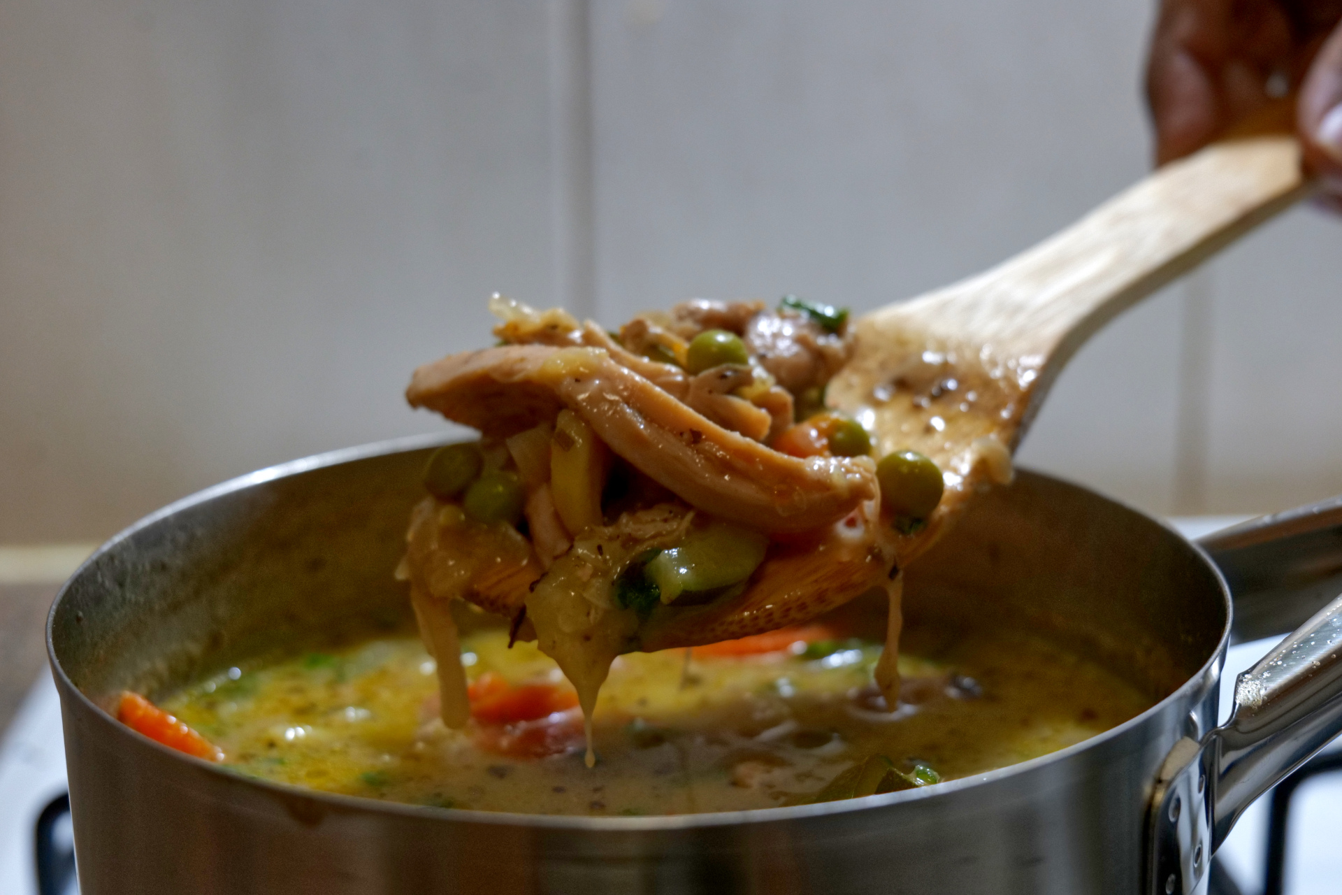 Chicken and Vegetable Soup 