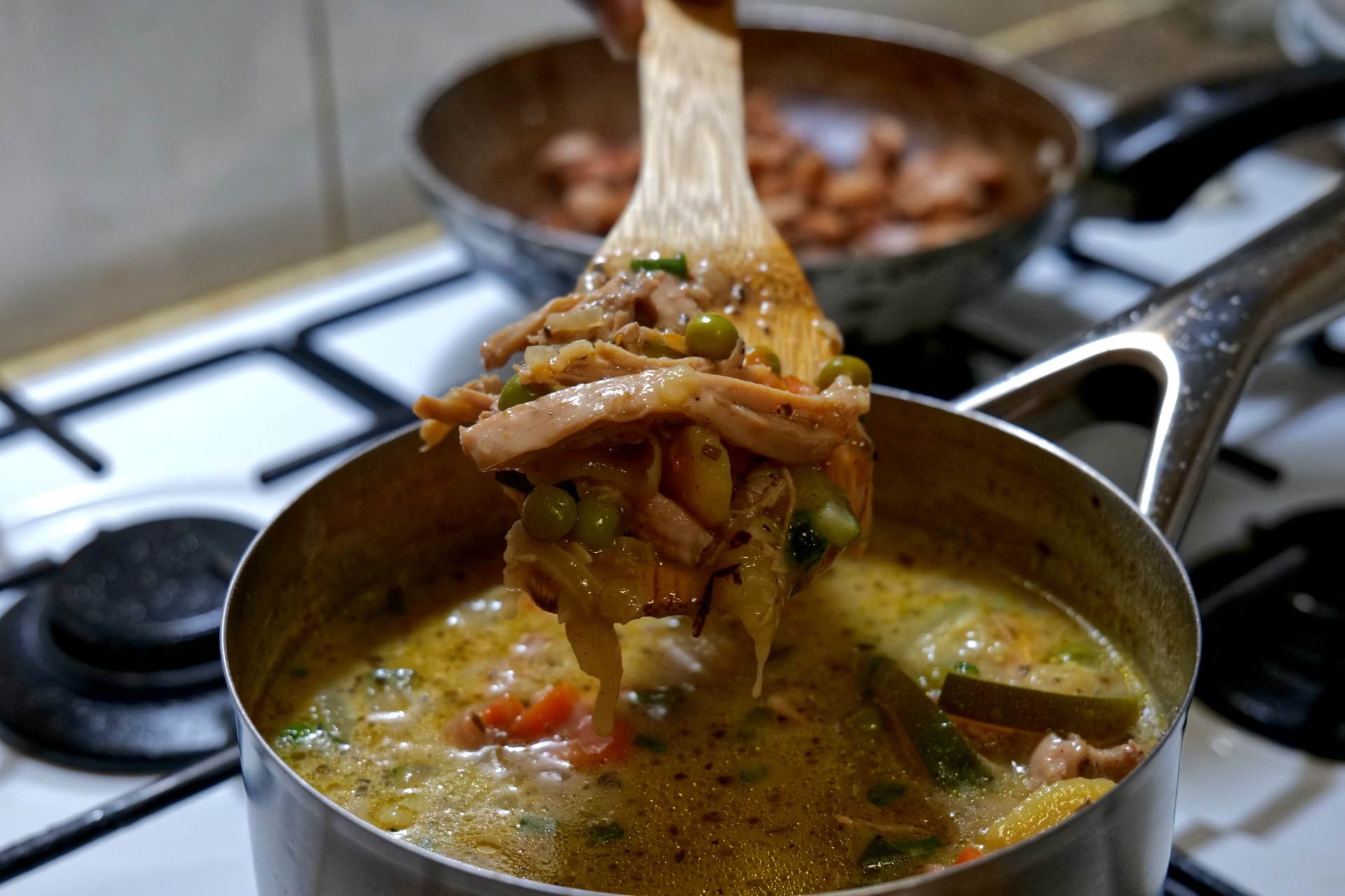 Chicken and Vegetable Soup 