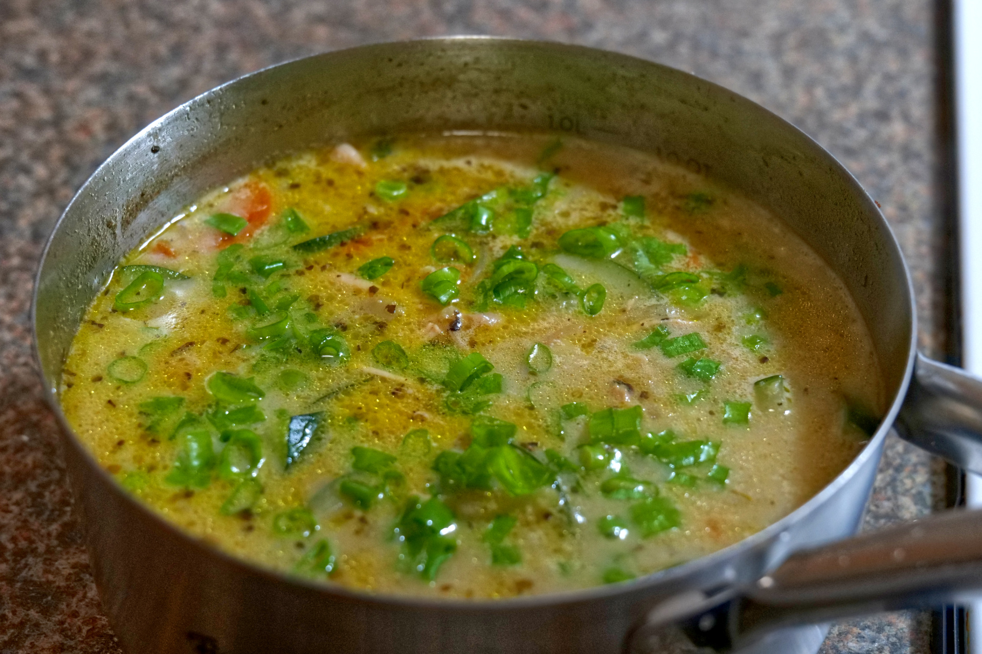 Chicken and Vegetable Soup 