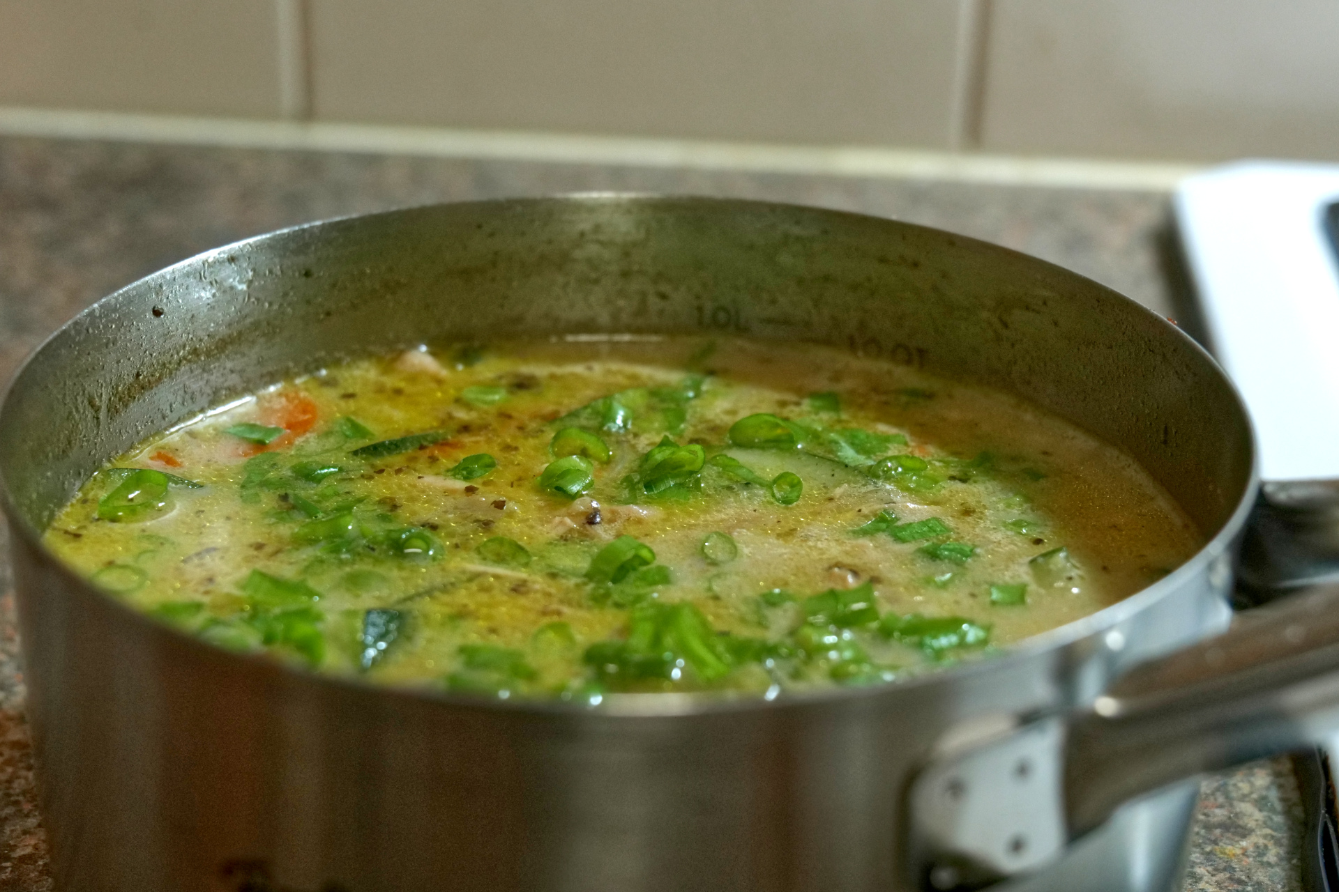 Chicken and Vegetable Soup 
