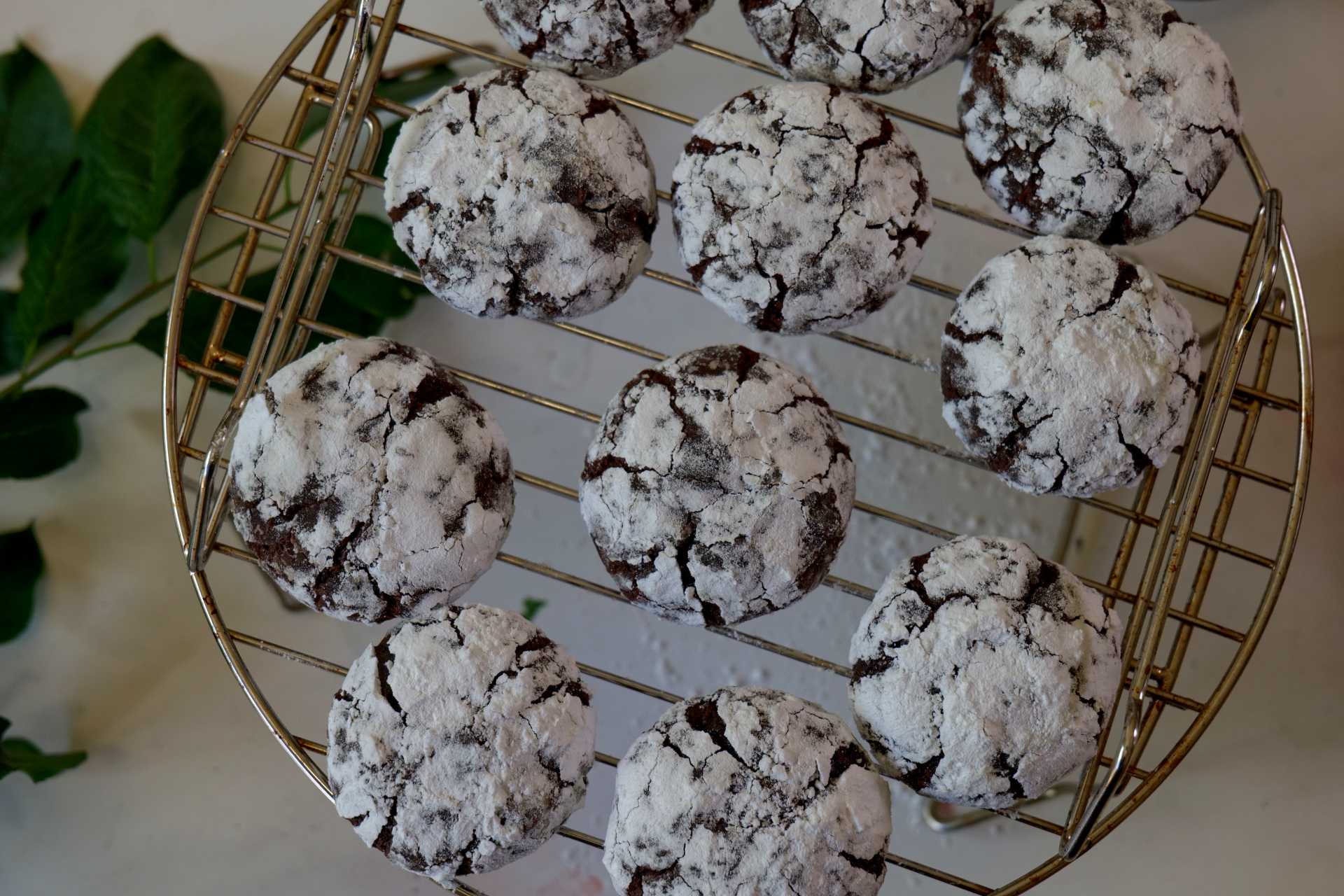 Chocolate Crinkle Cookies