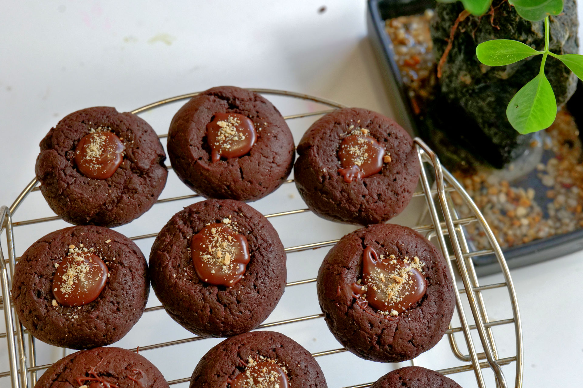 Chocolate Thumbprint Cookies