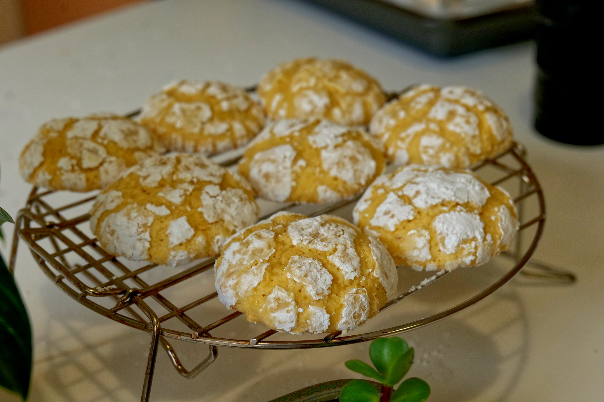 Coconut Crinkle Cookies