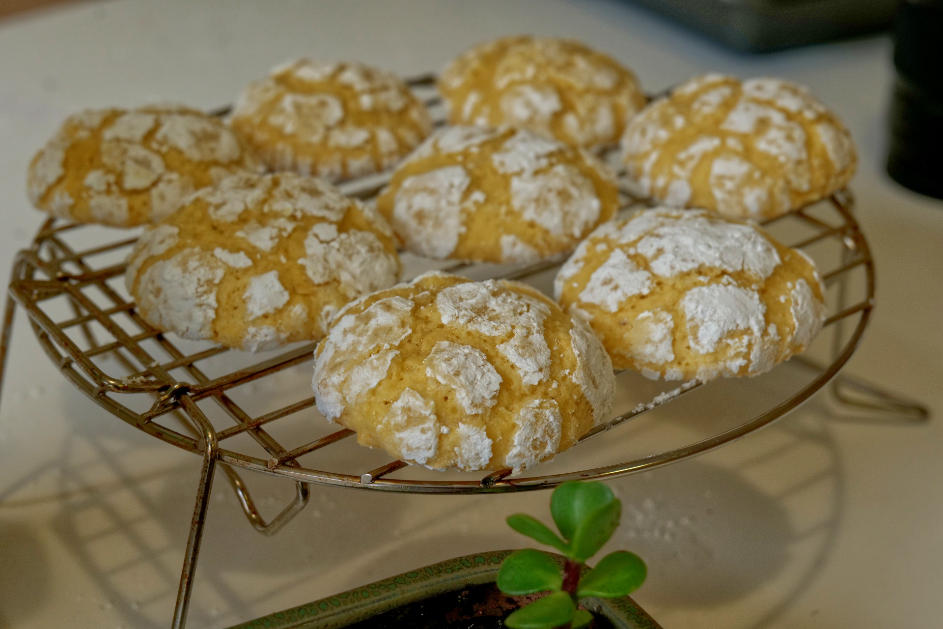 Coconut Crinkle Cookies
