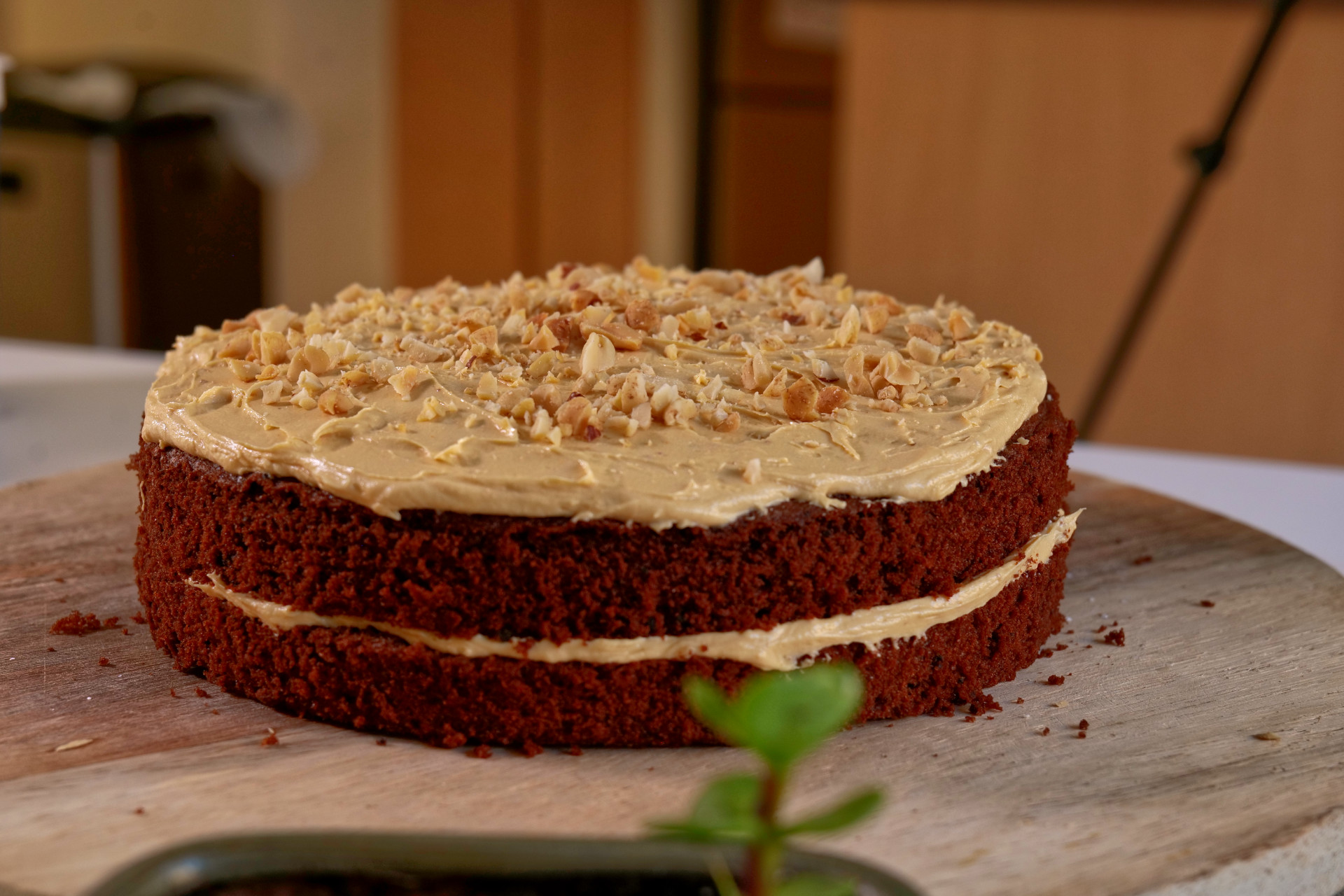 Peanut Butter Chocolate Cake