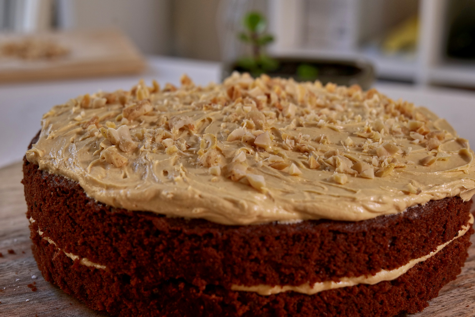 Peanut Butter Chocolate Cake