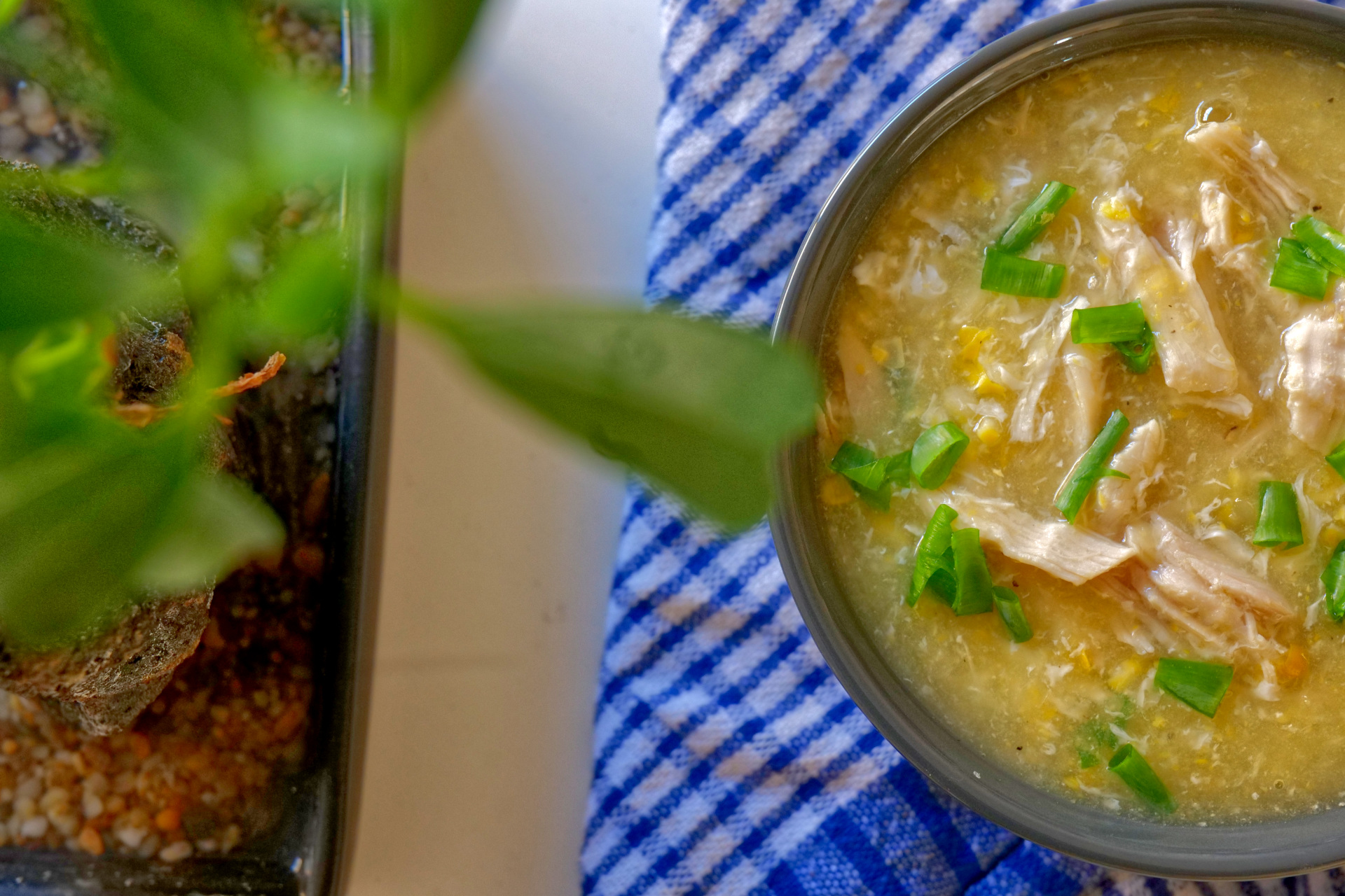 Sweet Corn & Chicken Soup