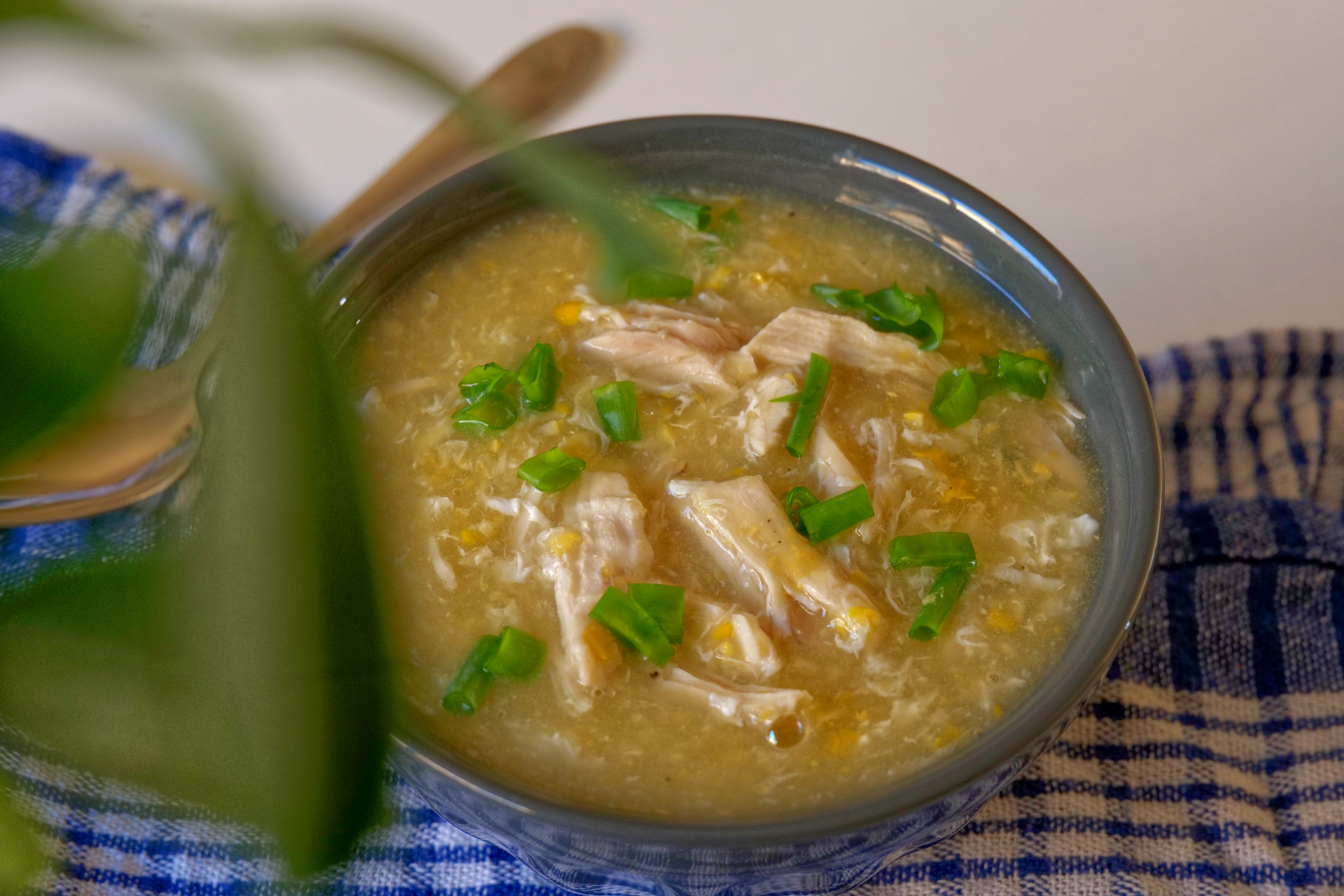 Sweet Corn & Chicken Soup