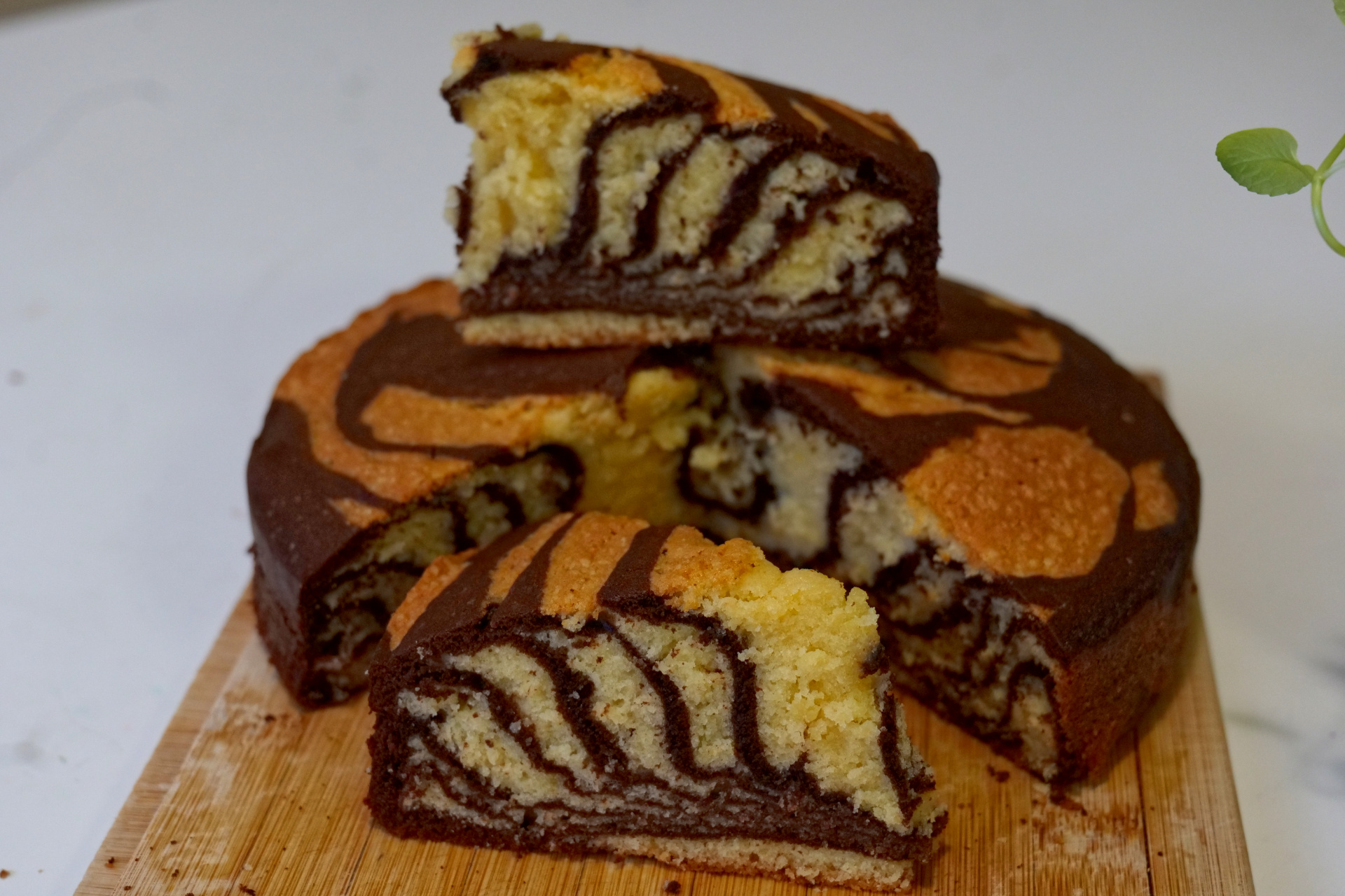 Zebra Cake