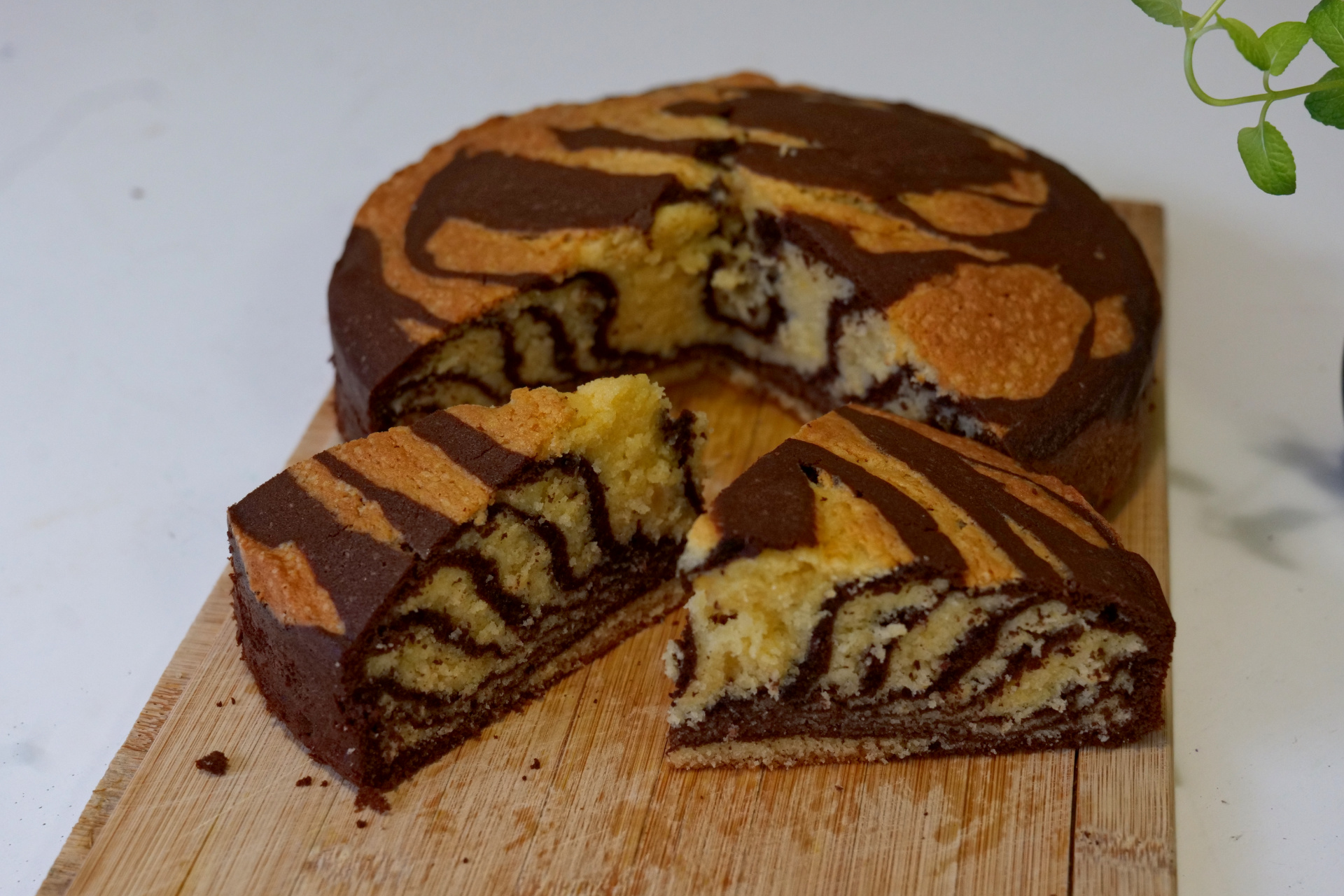Zebra Cake