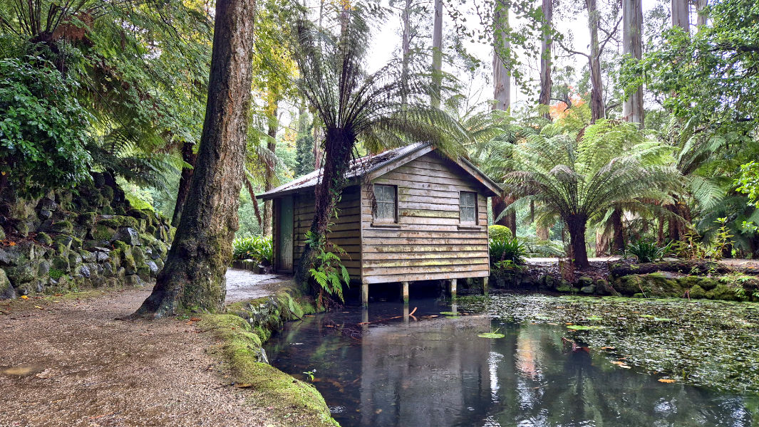 Discovering the Alfred Nicholas Memorial Garden