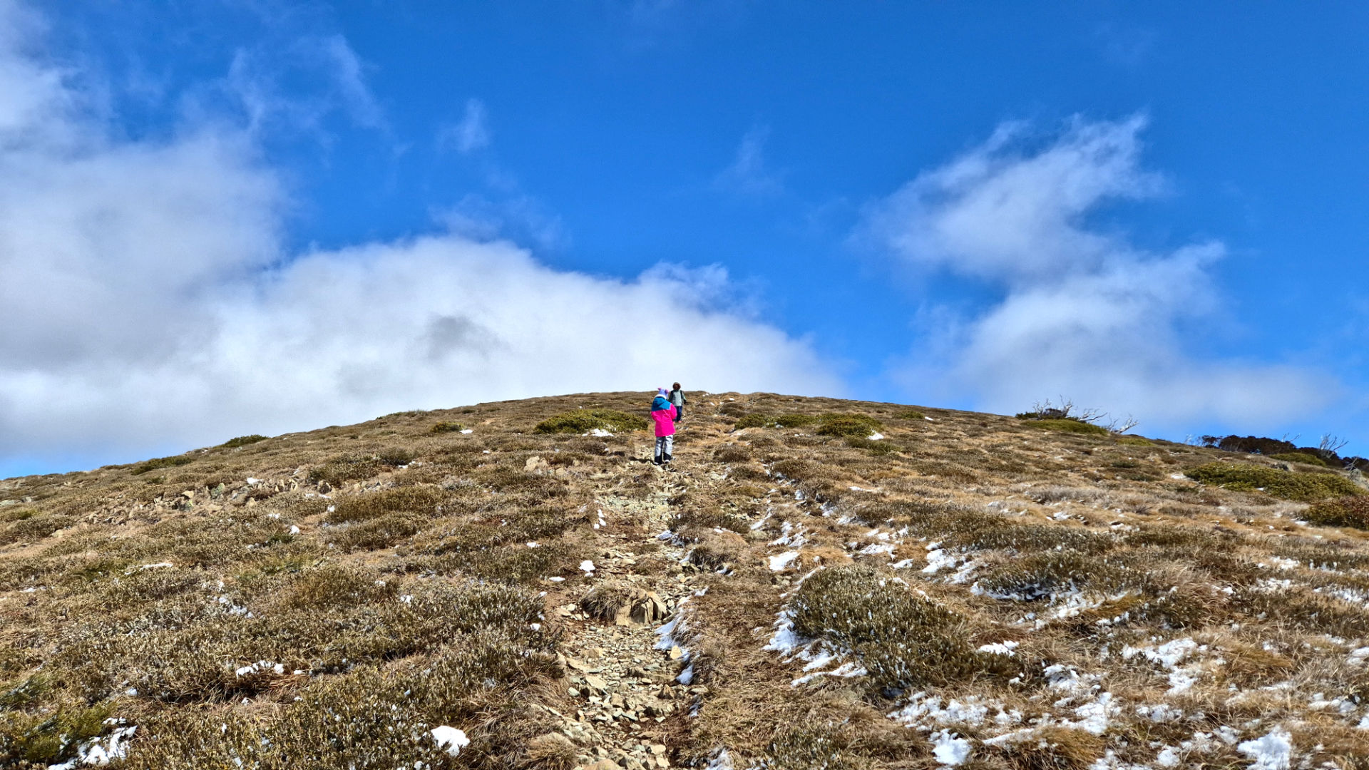 Mount Feathertop