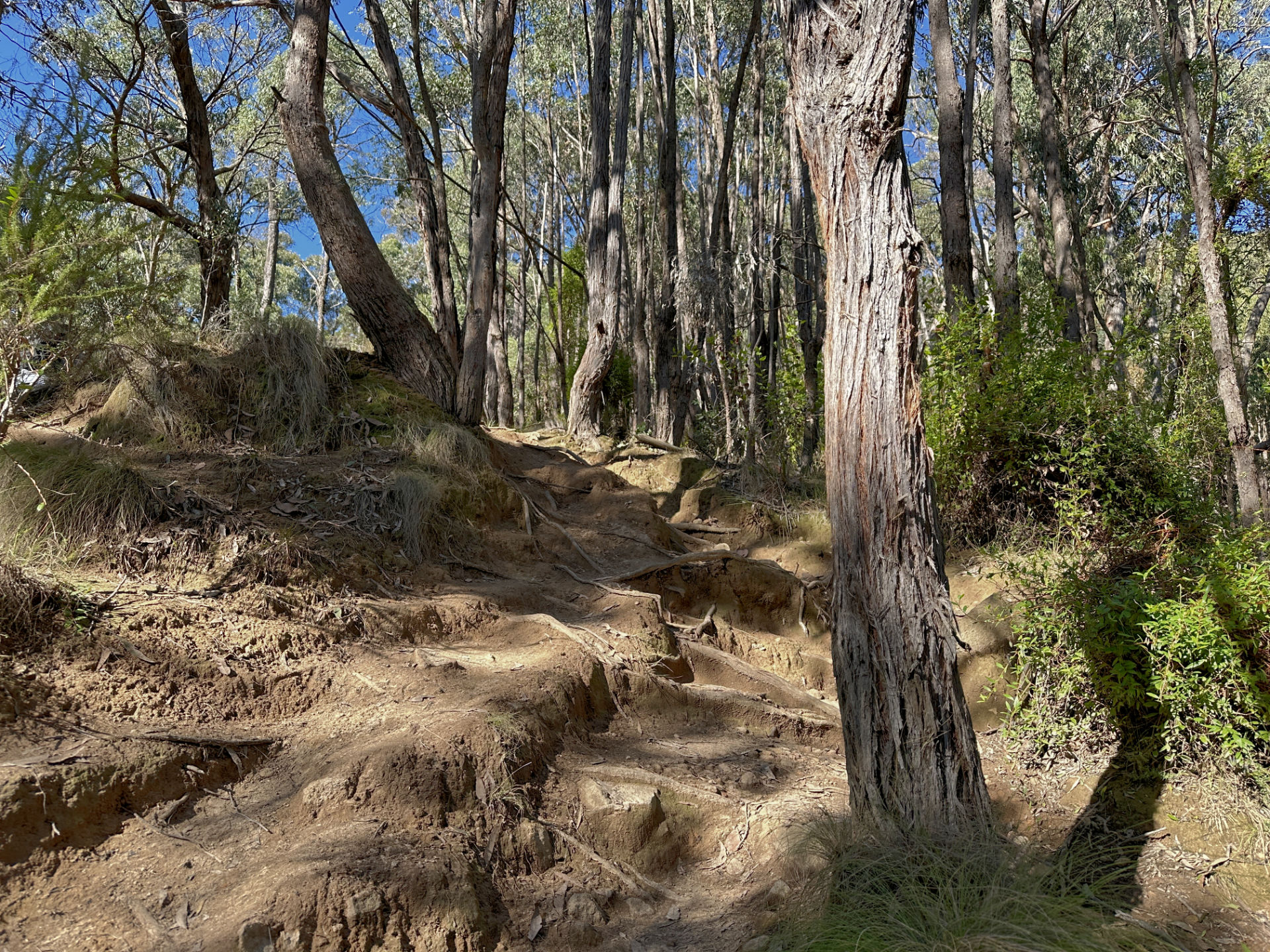 Hiking tracks