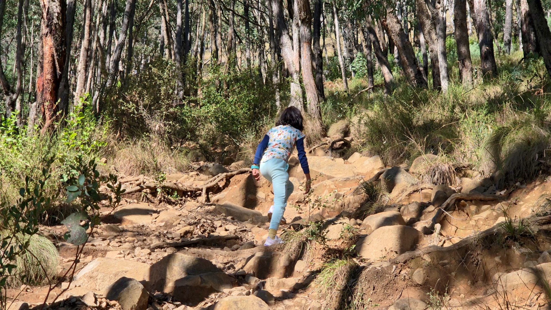 Hiking tracks