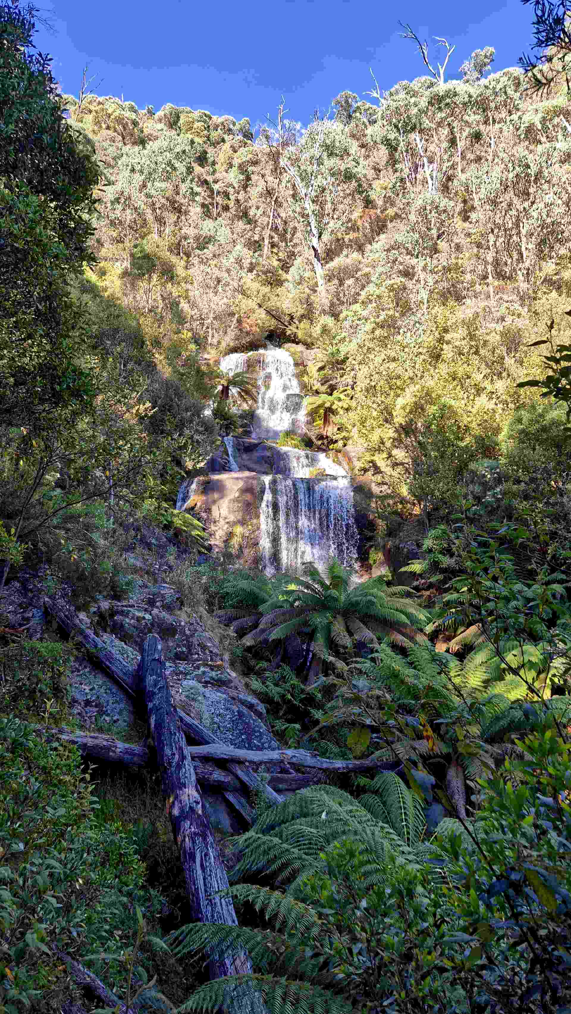 Fainter Falls