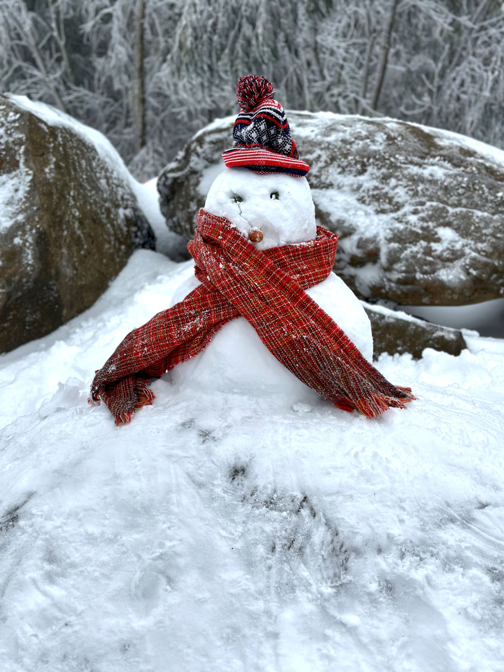 Snow at Lake Mountain