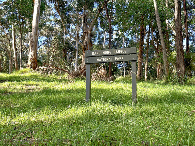 Explore the Natural Beauty of Sherbrooke Forest